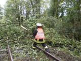 Umgestürzter Baum auf Schiene