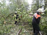 Umgestürzter Baum auf Schiene